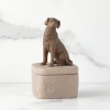 Willow Tree figurine - Love My Dog (dark) box